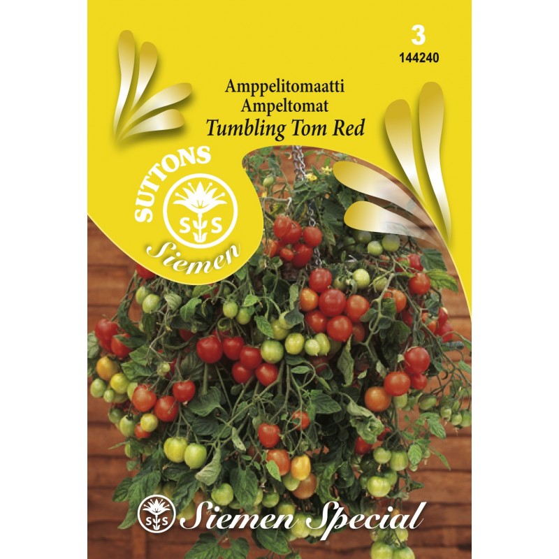 AMPPELITOMAATTI 'Tumblling Tom Red'
