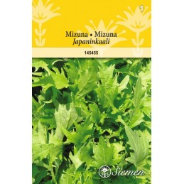 MIZUNA (Brassica rapa)