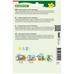 AVOMAANKURKKU 'Libelle F1'