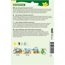 AVOMAANKURKKU 'Moneta'