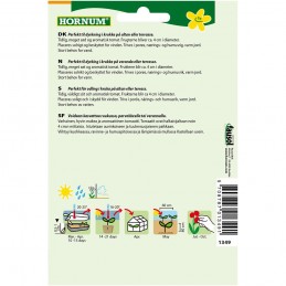 PENSASTOMAATTI 'Totem F1'