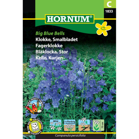 KURJENKELLO Big Blue Bells kurjenkello-big-blue-bells