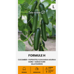 KASVIHUONEKURKKU 'Formule F1'