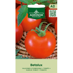 TOMAATTI 'Betalux'