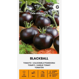 TOMAATTI 'Blackball'