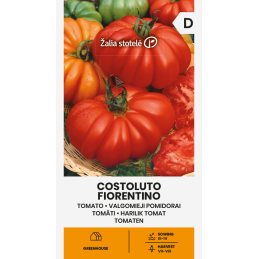PIHVITOMAATTI 'Costoluto...