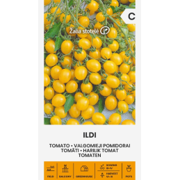 KIRSIKKATOMAATTI 'Ildi'
