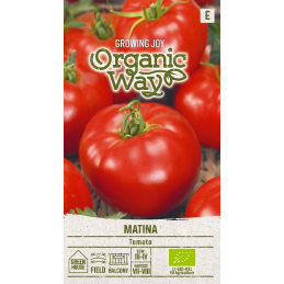TOMAATTI 'Matina'