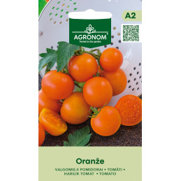 PENSASTOMAATTI 'Oranze'
