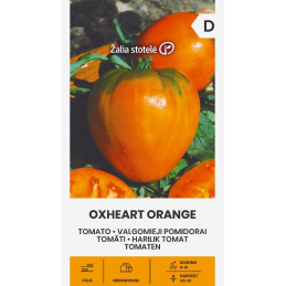 TOMAATTI 'Oxheart Orange'