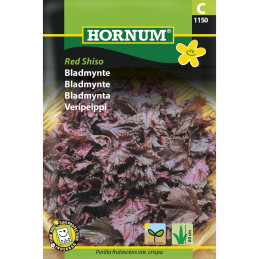 VERIPEIPPI 'Red Shiso'
