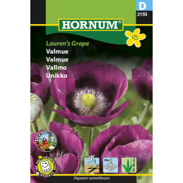 UNIKKO 'Lauren's Grape'