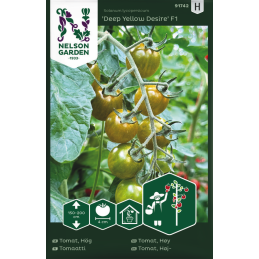 TOMAATTI 'Deep Yellow...