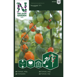TOMAATTI 'Nugget F1'