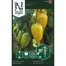 TOMAATTI 'Bliss F1'