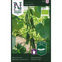 KASVIHUONEKURKKU 'Kaikura...