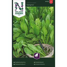 SALAATTISIKURI 'Sangria'