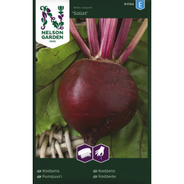 PUNAJUURI 'Solist' KYLVÖNAUHA