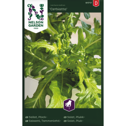 TAMMENLEHTISALAATTI...