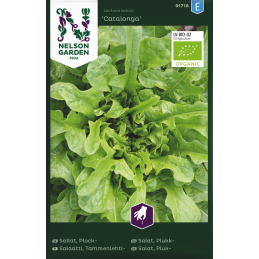 TAMMENLEHTISALAATTI...