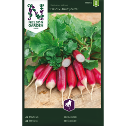 RETIISI 'De dix-huit jours'