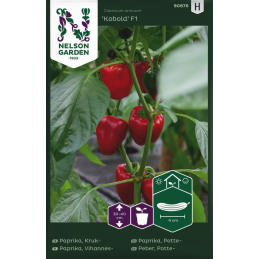 PAPRIKA 'Kobold F1'