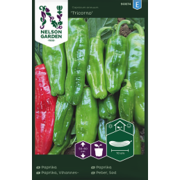 PAPRIKA 'Tricorno'