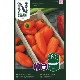 PAPRIKA 'Hamik'