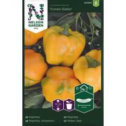PAPRIKA 'Cunea Giallo'