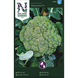 PARSAKAALI 'Mauricius F1'