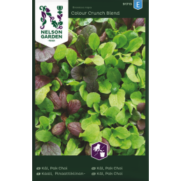 PINAATTIKIINANKAALI 'Mix'