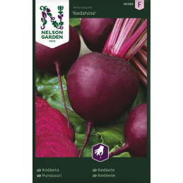 PUNAJUURI 'Redshine'