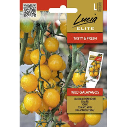 VILLITOMAATTI 'Wild Galapagos'