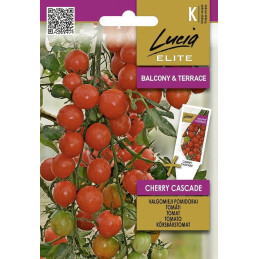 KIRSIKKATOMAATTI 'Cherry...