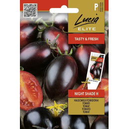 TOMAATTI 'Night Shade'