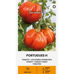 TOMAATTI 'Portugues F1'