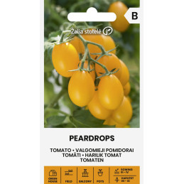 KIRSIKKATOMAATTI 'Peardrops'