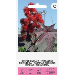 RISIINI (Ricinus communis)